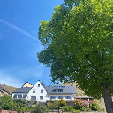 Chateau-De-La-Moselle Kinheim Экстерьер фото