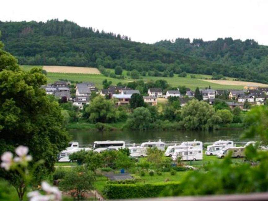 Chateau-De-La-Moselle Kinheim Экстерьер фото