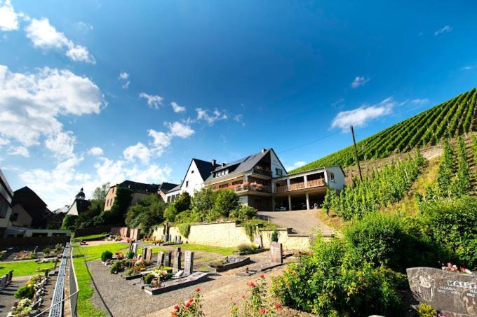 Chateau-De-La-Moselle Kinheim Экстерьер фото