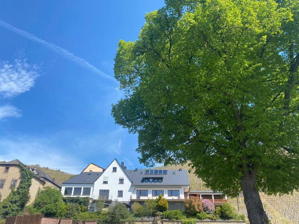 Chateau-De-La-Moselle Kinheim Экстерьер фото